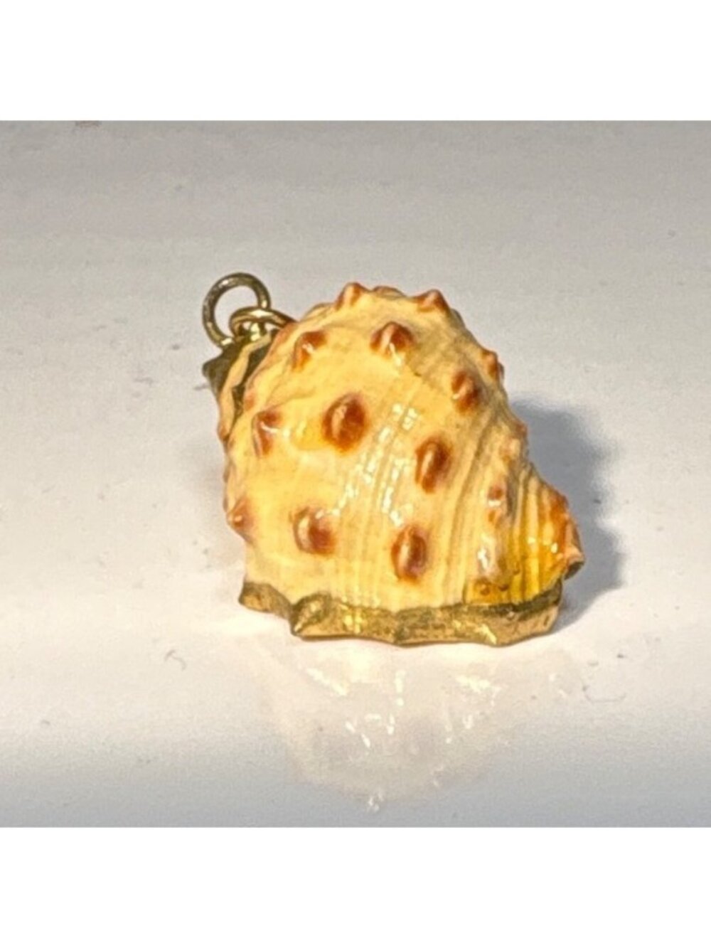Shell Pendant Charm Conch With Gold Details 1" Natural Tones